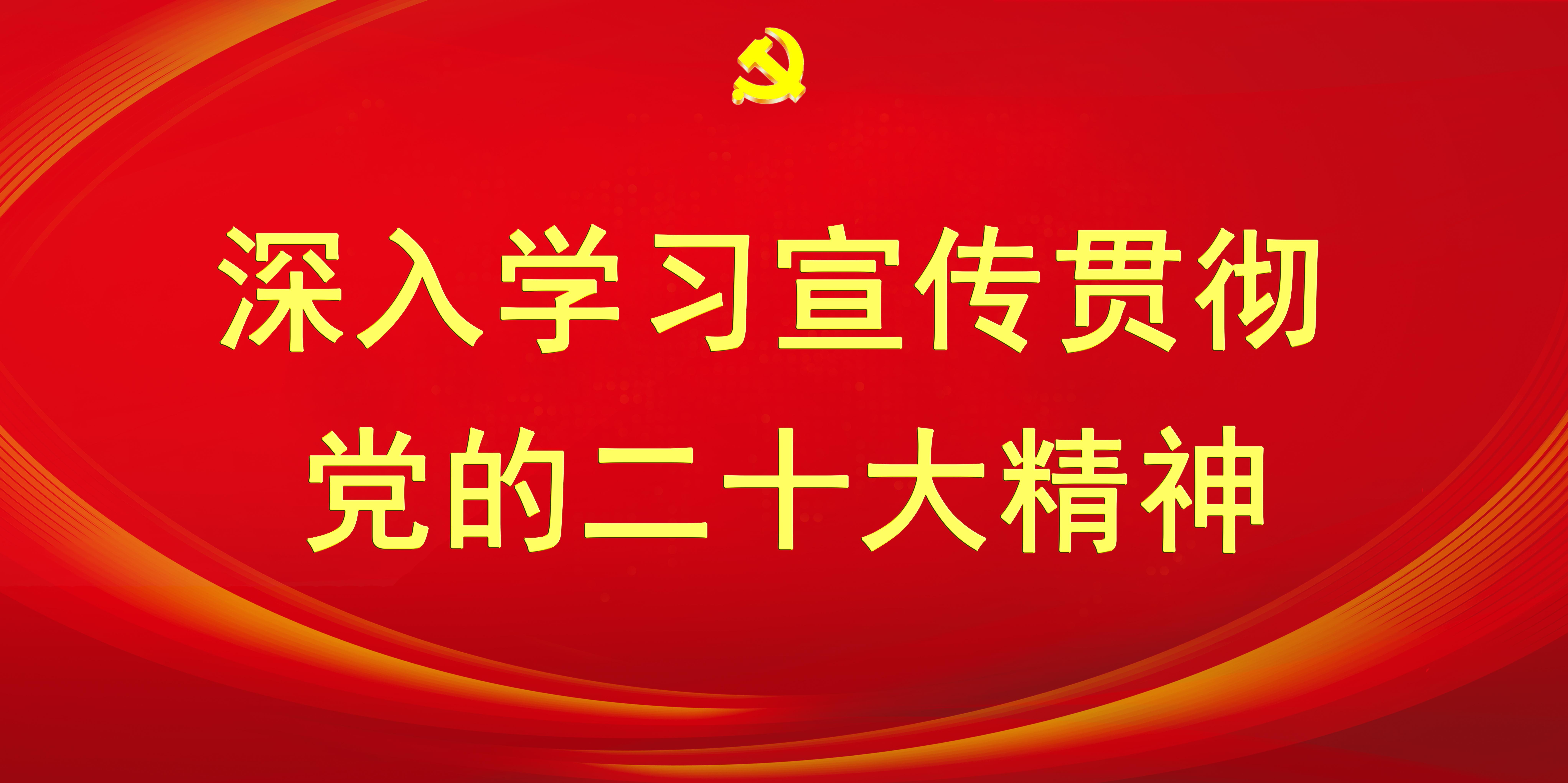 深入学习宣传贯彻党的二十大精神